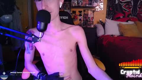 CryptidTwink online show from 03.11.26