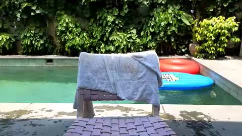 Snapshot of cryptongood chatting on 02.25.25 Lin inst lingoodyy online show from 02.25.25