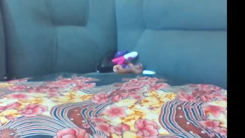 crystallgem online show from 03.02.26