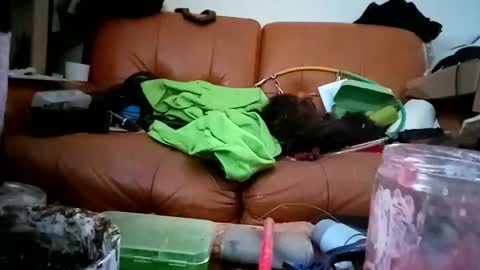 Snapshot of crystelweed chatting on 11.09.25 crystelweed online show from 11.09.25