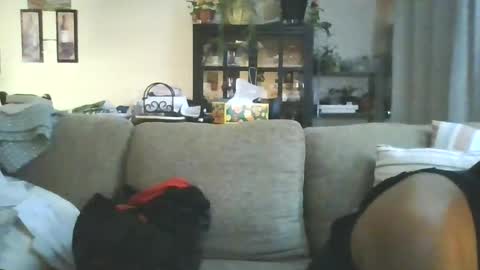 Snapshot of cumdumpslutfag chatting on 06.11.26 cumdumpslutfag online show from 06.11.26