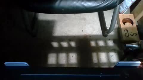 cumfacialxxx online show from 11.25.25