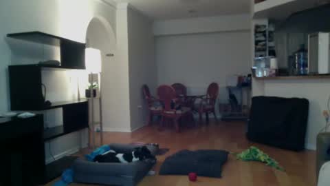 cumfiesta1 online show from 02.02.25