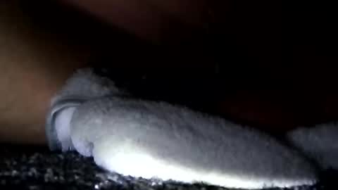 Aprilia online show from 01.14.25