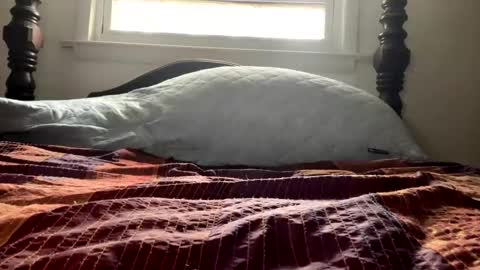 Snapshot of curiousperformance chatting on 12.04.24 Curiousperformance online show from 12.04.24