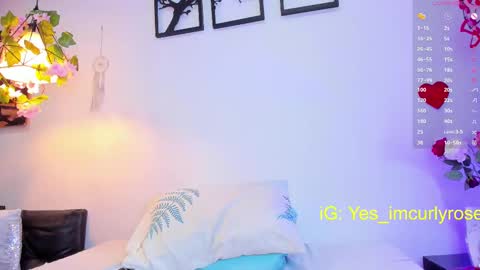 Rose online show from 02.15.25