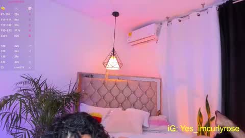 Rose online show from 10.12.25