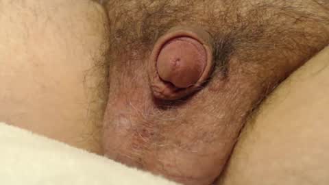 curve66 online show from 12.04.25