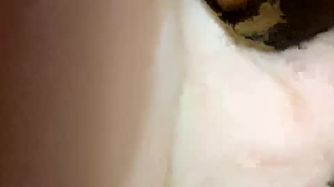 curvy24777 online show from 02.15.25