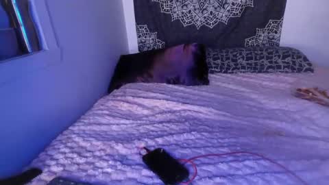 Snapshot of curvybcelinemixe chatting on 03.02.25 Cline online show from 03.02.25