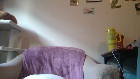 Snapshot of curvycate127 chatting on 01.21.25 Cate online show from 01.21.25