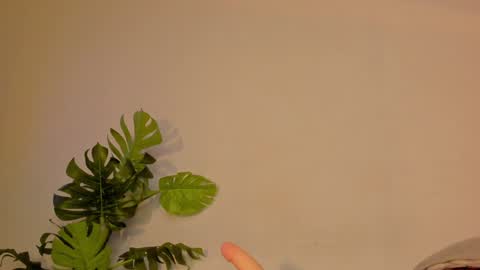 Stacy online show from 01.22.25