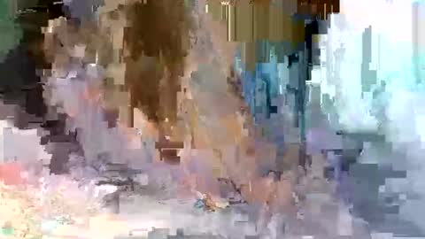 cute_savanna online show from 03.10.26