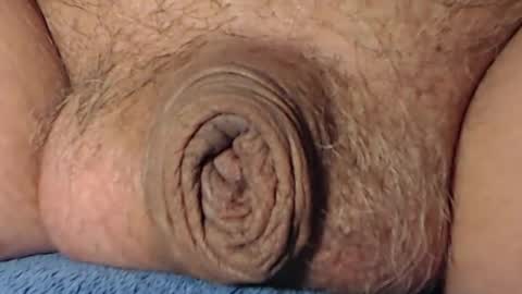 cute_stud1010 online show from 02.08.26