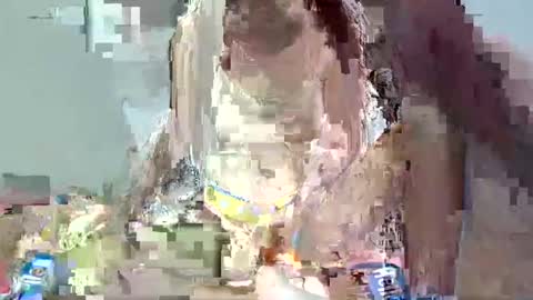 bella online show from 02.01.25