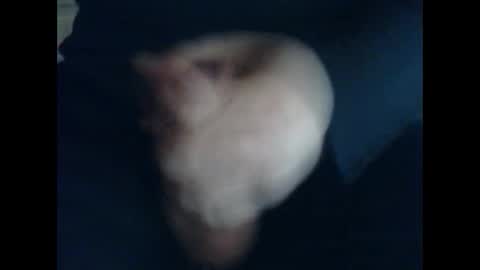 CutieBoy online show from 10.31.25