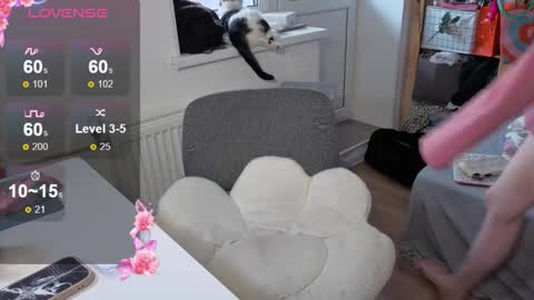 Alice  online show from 10.22.25