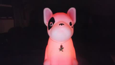 Snapshot of czechlove chatting on 10.01.25 Andrew Thomas online show from 10.01.25