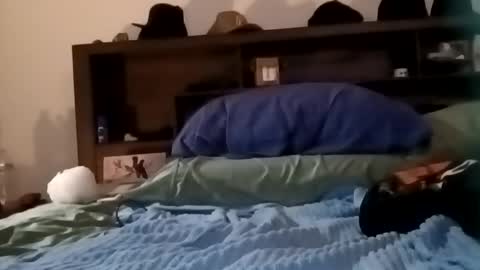 Kasey Xdresser online show from 02.17.26