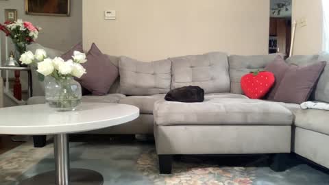 Snapshot of daddy_daycare_ chatting on 02.22.26 Belle Email daddydaycarecb online show from 02.22.26