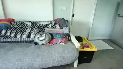 Snapshot of daddycache chatting on 10.27.25 bas online show from 10.27.25