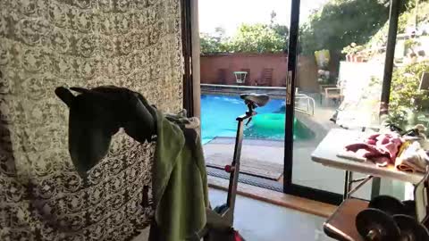 Snapshot of daddycache chatting on 11.09.25 bas online show from 11.09.25