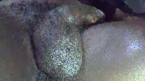 GIANT  Lamar  72 ft  tall  with a  10 inches  BBC   hard quick cumshot in private show lets go online show from 04.01.26