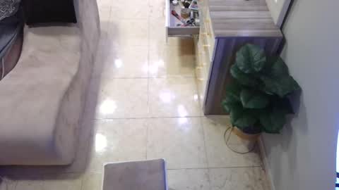 Deffa online show from 02.16.25