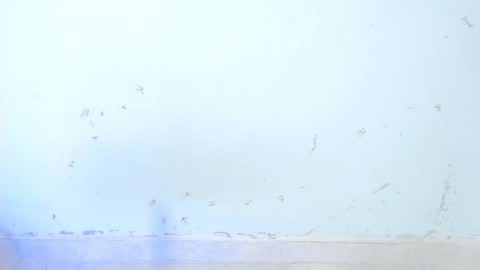 VALENTINA  online show from 10.16.25