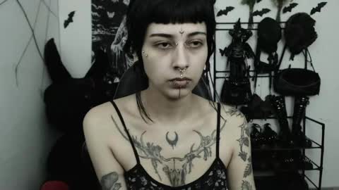Snapshot of dakota_krall_ chatting on 05.04.26 dakota online show from 05.04.26