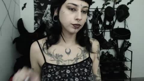 Snapshot of dakota_krall_ chatting on 05.15.26 dakota online show from 05.15.26