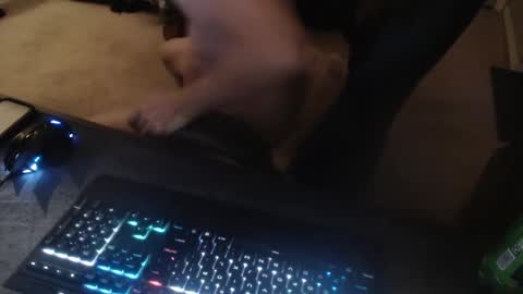 Snapshot of dakota_reilly chatting on 09.14.25 Dakota online show from 09.14.25