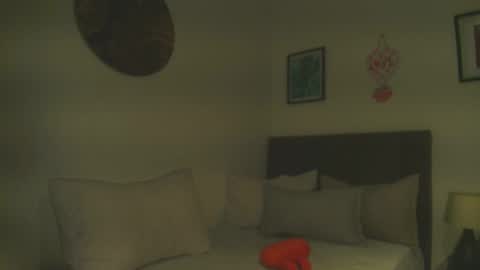 D A L H I L A online show from 02.23.26