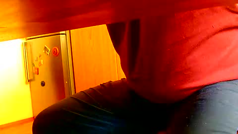 Snapshot of dammerl6 chatting on 01.08.25 Dammerl online show from 01.08.25