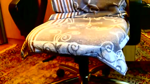 Snapshot of dammerl6 chatting on 01.15.25 Dammerl online show from 01.15.25