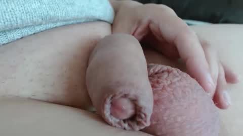 Damocles online show from 11.01.25