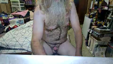 Dana online show from 09.11.25