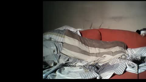 dane1982 online show from 01.01.25