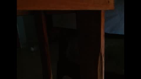 dangerhook online show from 11.24.25