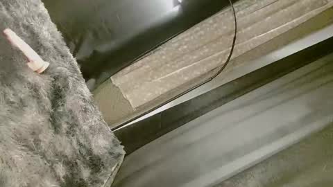 Nica online show from 09.10.25