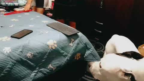 dani y jocelyn online show from 02.16.26