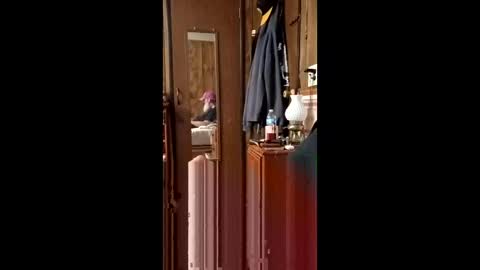 danielgilligan586677889 online show from 04.19.26