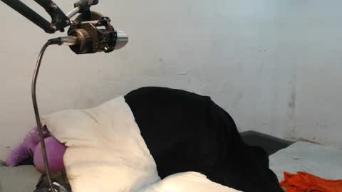 Snapshot of danielitopapii chatting on 12.13.24 danielitopapii online show from 12.13.24