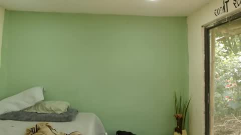 danielitopapii online show from 01.16.26