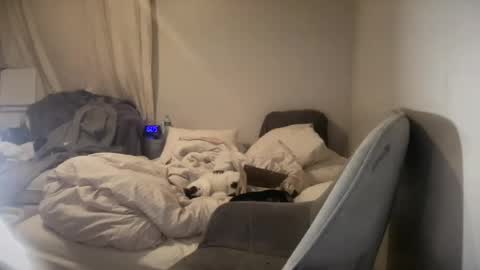 daniellealexa online show from 06.27.26