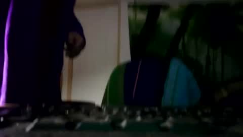 danimal5000 online show from 01.26.25