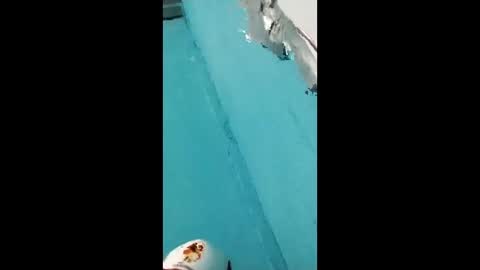 Snapshot of danipas_30 chatting on 02.12.26 danipas_30 online show from 02.12.26