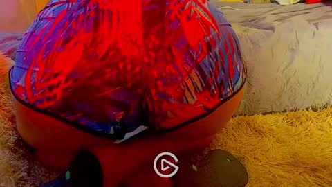 Snapshot of dankshepp chatting on 01.26.25 dandeb online show from 01.26.25