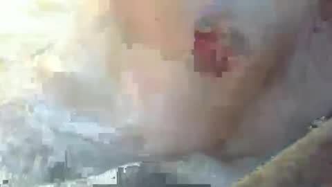 dankz4two0 online show from 01.11.25