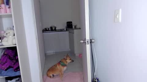 Snapshot of danna_rhodesx chatting on 11.30.25 Danna Rhodes online show from 11.30.25